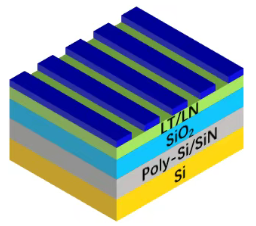 1741581896635.jpg